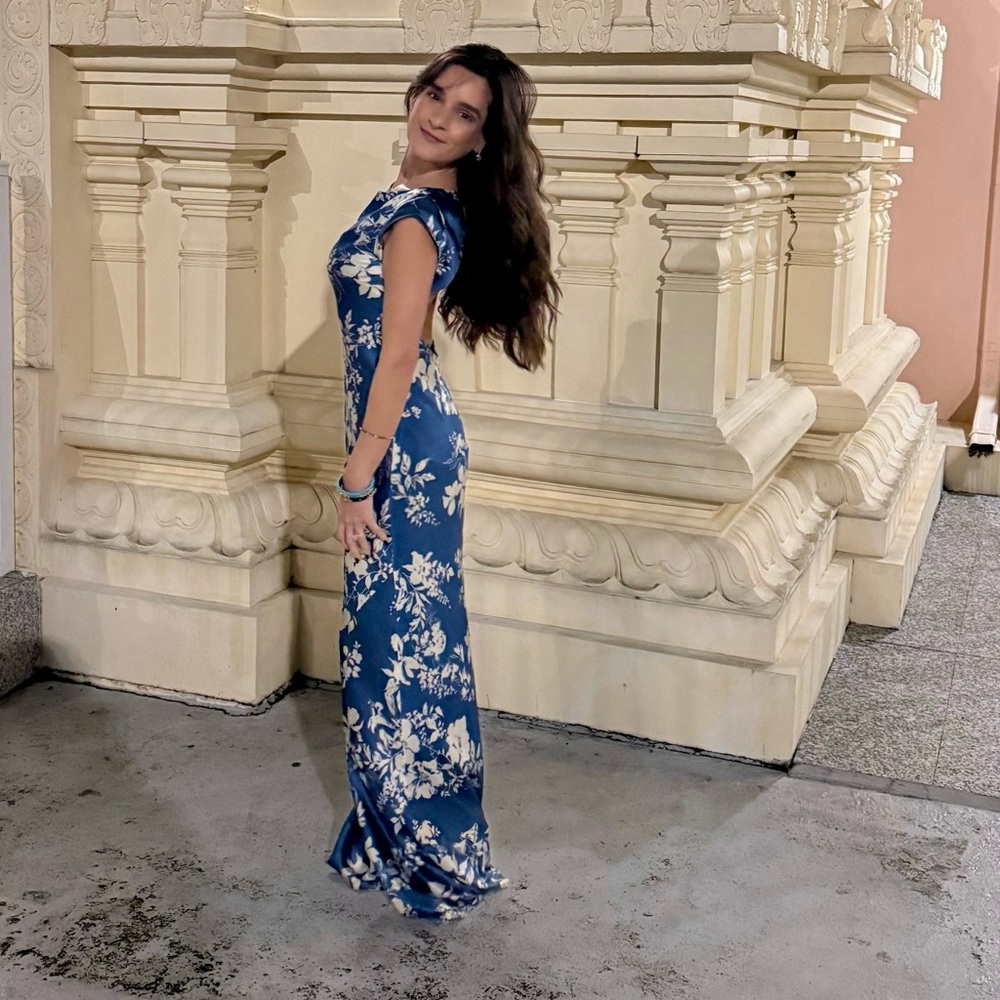 Reformation Dress (dry cleaned)